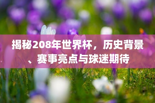 揭秘208年世界杯，历史背景、赛事亮点与球迷期待