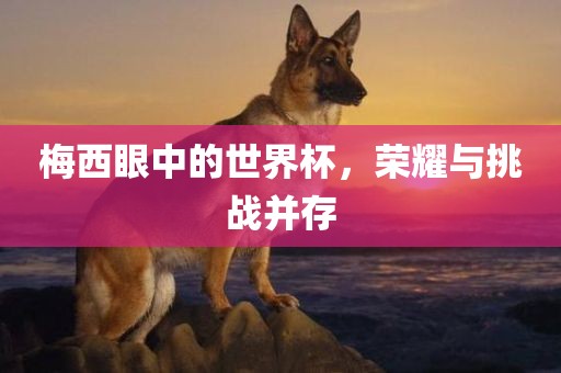 梅西眼中的世界杯，荣耀与挑战并存