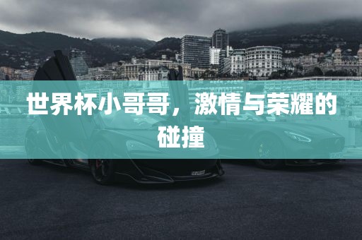 世界杯小哥哥，激情与荣耀的碰撞