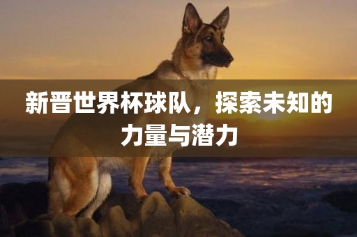 新晋世界杯球队，探索未知的力量与潜力