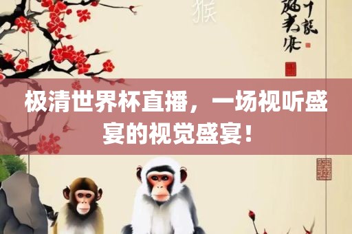极清世界杯直播，一场视听盛宴的视觉盛宴！