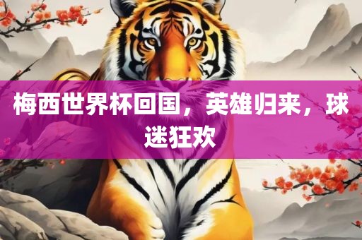 梅西世界杯回国，英雄归来，球迷狂欢