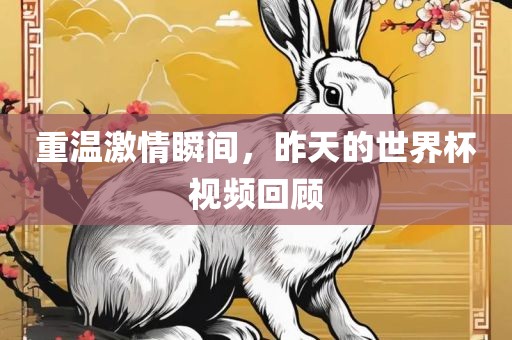 重温激情瞬间，昨天的世界杯视频回顾