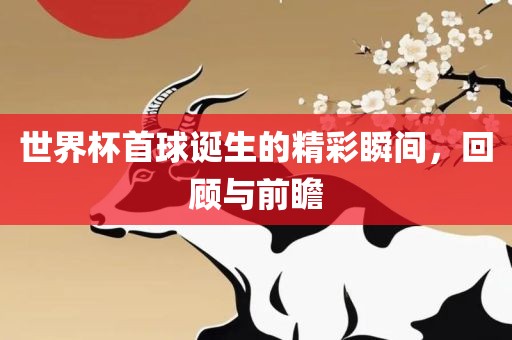 世界杯首球诞生的精彩瞬间，回顾与前瞻