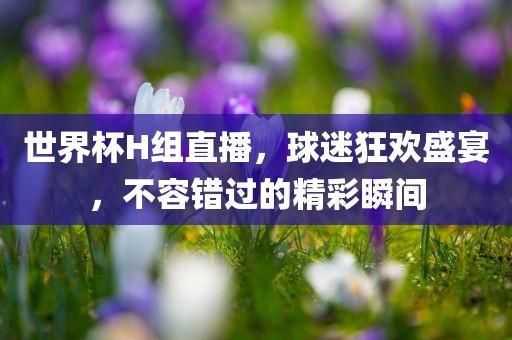 世界杯H组直播，球迷狂欢盛宴，不容错过的精彩瞬间