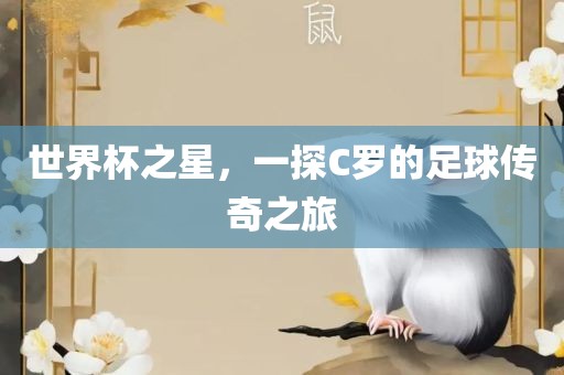 世界杯之星，一探C罗的足球传奇之旅