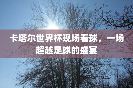 卡塔尔世界杯现场看球，一场超越足球的盛宴