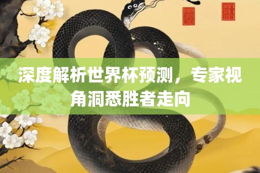 深度解析世界杯预测，专家视角洞悉胜者走向