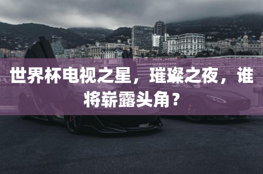 世界杯电视之星，璀璨之夜，谁将崭露头角？