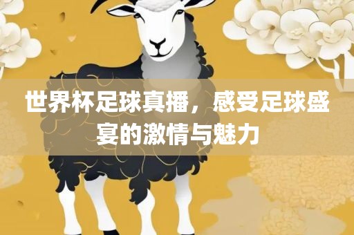 世界杯足球真播，感受足球盛宴的激情与魅力