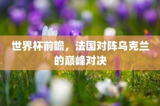 世界杯前瞻，法国对阵乌克兰的巅峰对决