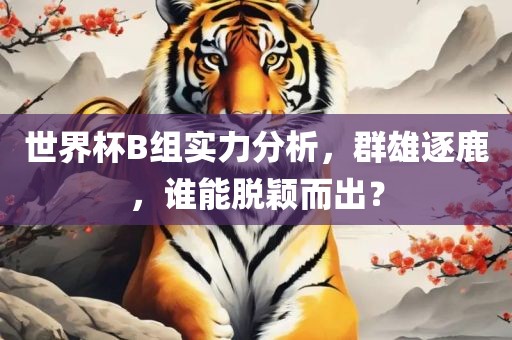 世界杯B组实力分析，群雄逐鹿，谁能脱颖而出？