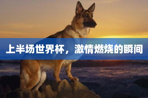 上半场世界杯，激情燃烧的瞬间