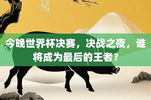今晚世界杯决赛，决战之夜，谁将成为最后的王者？