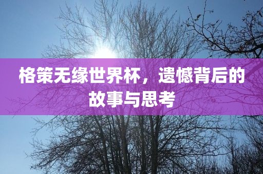 格策无缘世界杯，遗憾背后的故事与思考