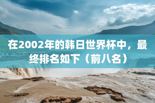 在2002年的韩日世界杯中，最终排名如下（前八名）