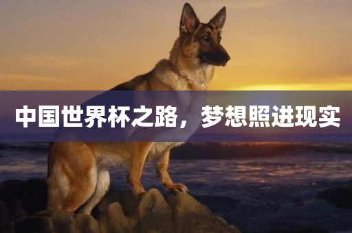 中国世界杯之路，梦想照进现实