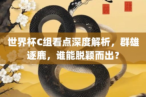 世界杯C组看点深度解析，群雄逐鹿，谁能脱颖而出？