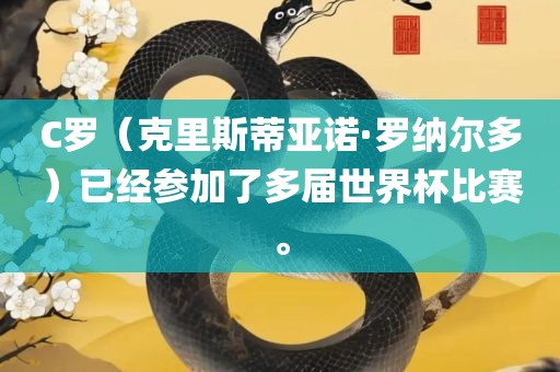 C罗（克里斯蒂亚诺·罗纳尔多）已经参加了多届世界杯比赛。