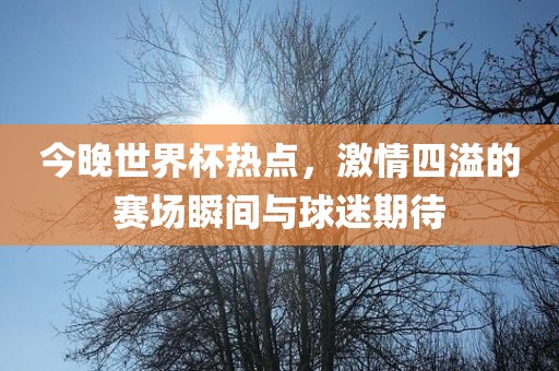 今晚世界杯热点，激情四溢的赛场瞬间与球迷期待