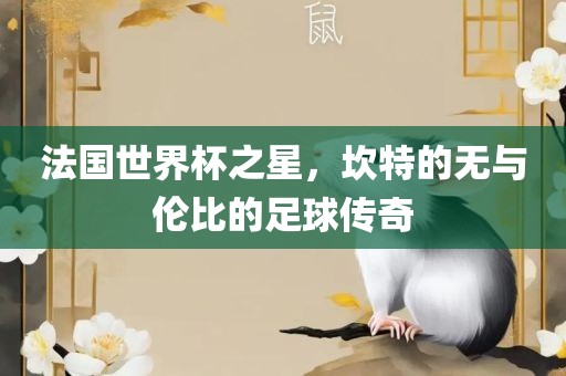 法国世界杯之星，坎特的无与伦比的足球传奇