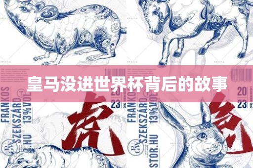 皇马没进世界杯背后的故事