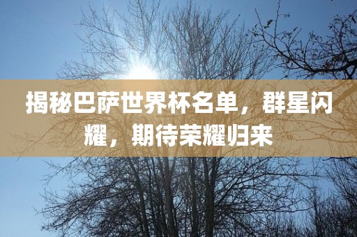 揭秘巴萨世界杯名单，群星闪耀，期待荣耀归来