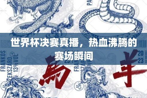世界杯决赛真播，热血沸腾的赛场瞬间