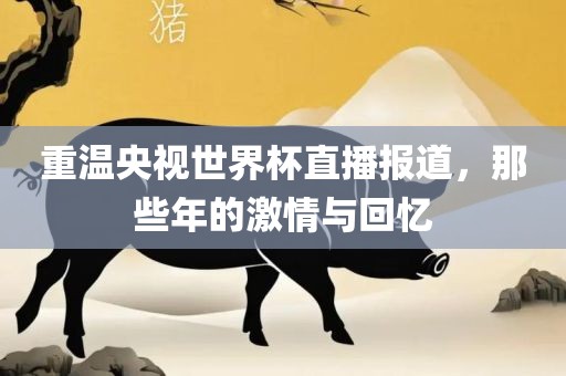 重温央视世界杯直播报道，那些年的激情与回忆