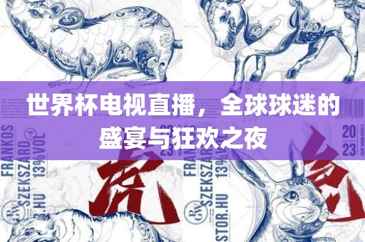 世界杯电视直播，全球球迷的盛宴与狂欢之夜