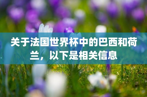 关于法国世界杯中的巴西和荷兰，以下是相关信息