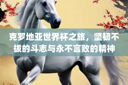 克罗地亚世界杯之旅，坚韧不拔的斗志与永不言败的精神