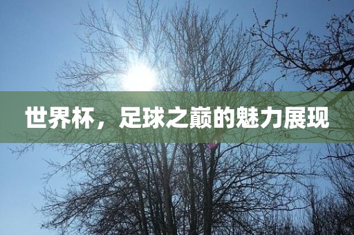 世界杯，足球之巅的魅力展现