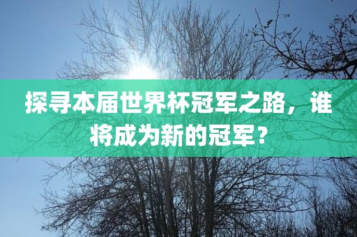 探寻本届世界杯冠军之路，谁将成为新的冠军？