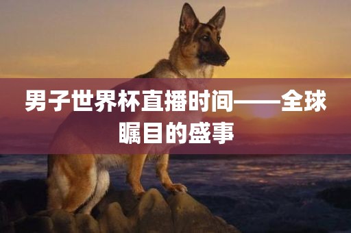 男子世界杯直播时间——全球瞩目的盛事