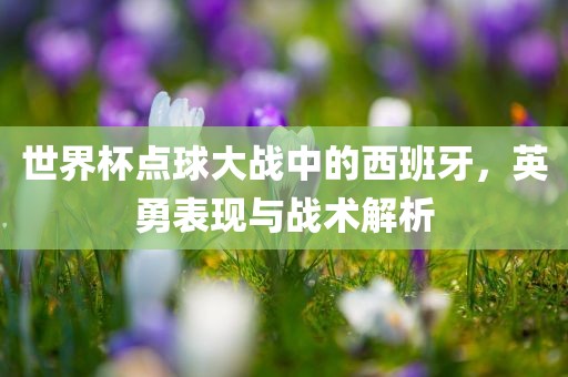 世界杯点球大战中的西班牙，英勇表现与战术解析