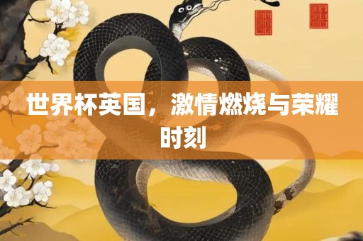 世界杯英国，激情燃烧与荣耀时刻