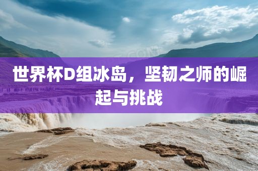 世界杯D组冰岛，坚韧之师的崛起与挑战