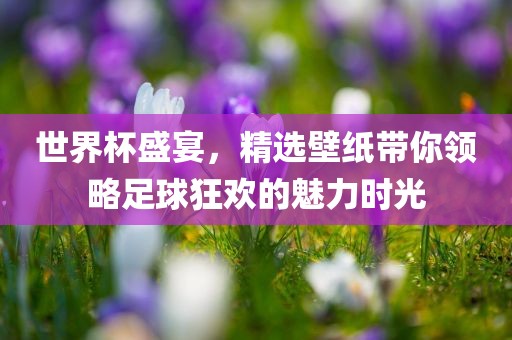 世界杯盛宴，精选壁纸带你领略足球狂欢的魅力时光