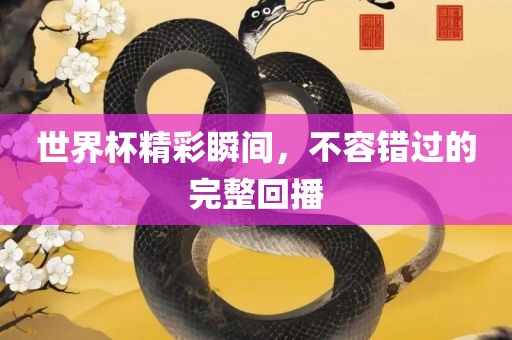 世界杯精彩瞬间，不容错过的完整回播