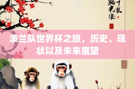波兰队世界杯之旅，历史、现状以及未来展望