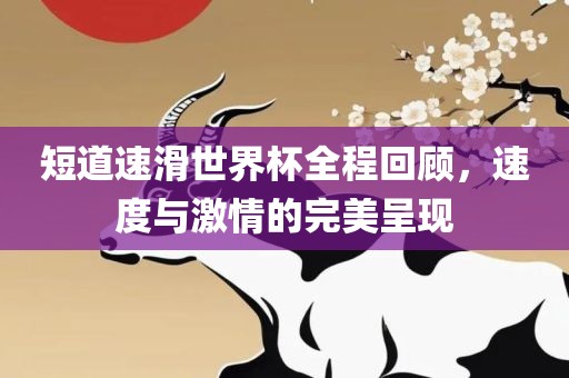 短道速滑世界杯全程回顾，速度与激情的完美呈现