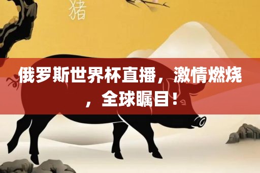 俄罗斯世界杯直播，激情燃烧，全球瞩目！