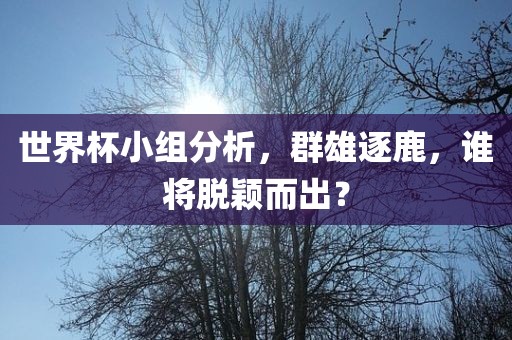 世界杯小组分析，群雄逐鹿，谁将脱颖而出？