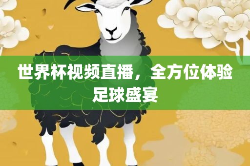 世界杯视频直播，全方位体验足球盛宴