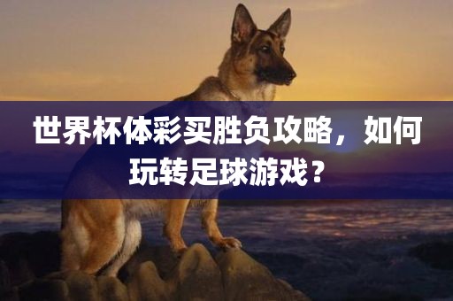 世界杯体彩买胜负攻略，如何玩转足球游戏？