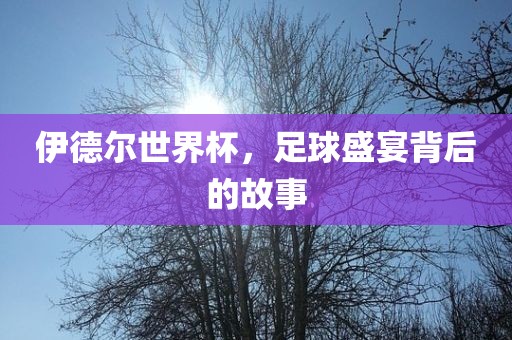 伊德尔世界杯，足球盛宴背后的故事