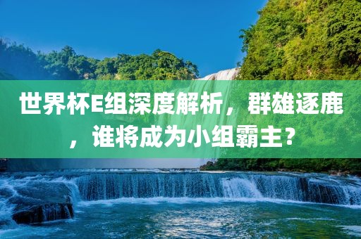 世界杯E组深度解析，群雄逐鹿，谁将成为小组霸主？