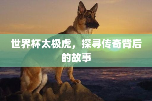世界杯太极虎，探寻传奇背后的故事