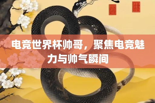 电竞世界杯帅哥，聚焦电竞魅力与帅气瞬间